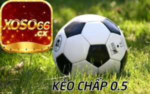 Kèo Chấp 0.5 TẠI xoso66