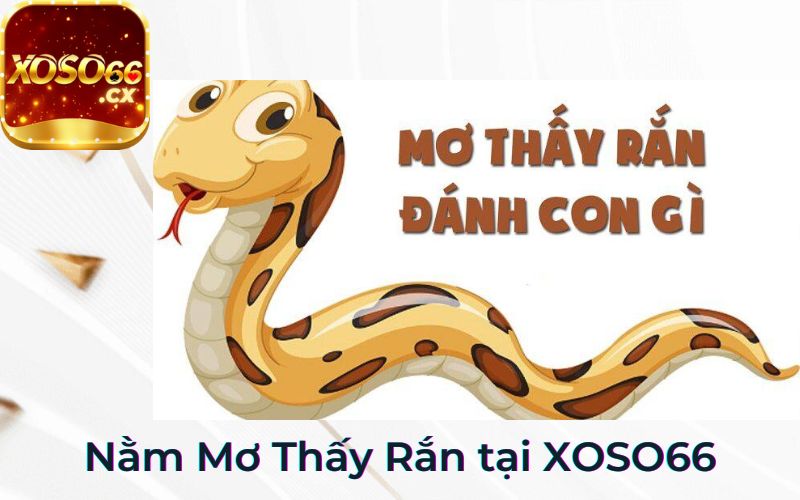 mơ thất rắn đánh con gì